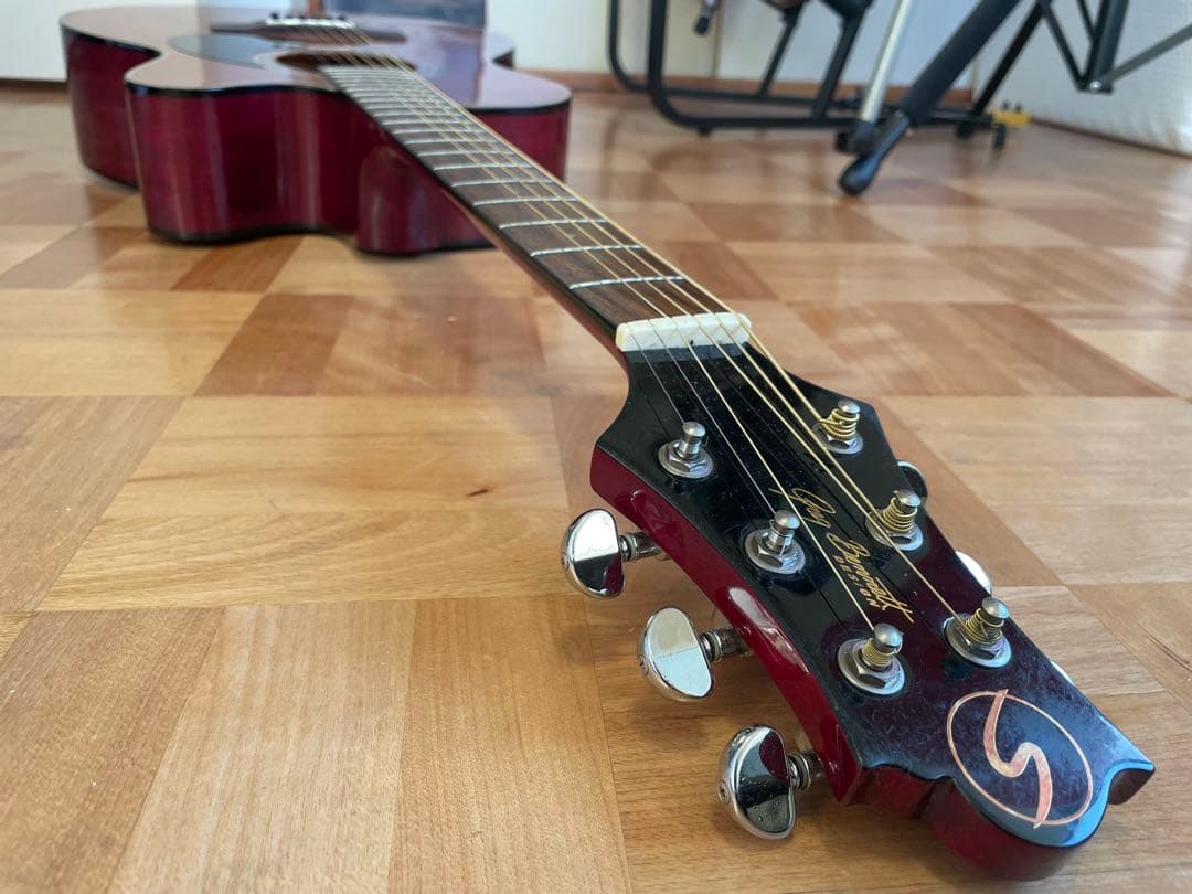 【専用ケース付き】Greg Bennett OM-13CE