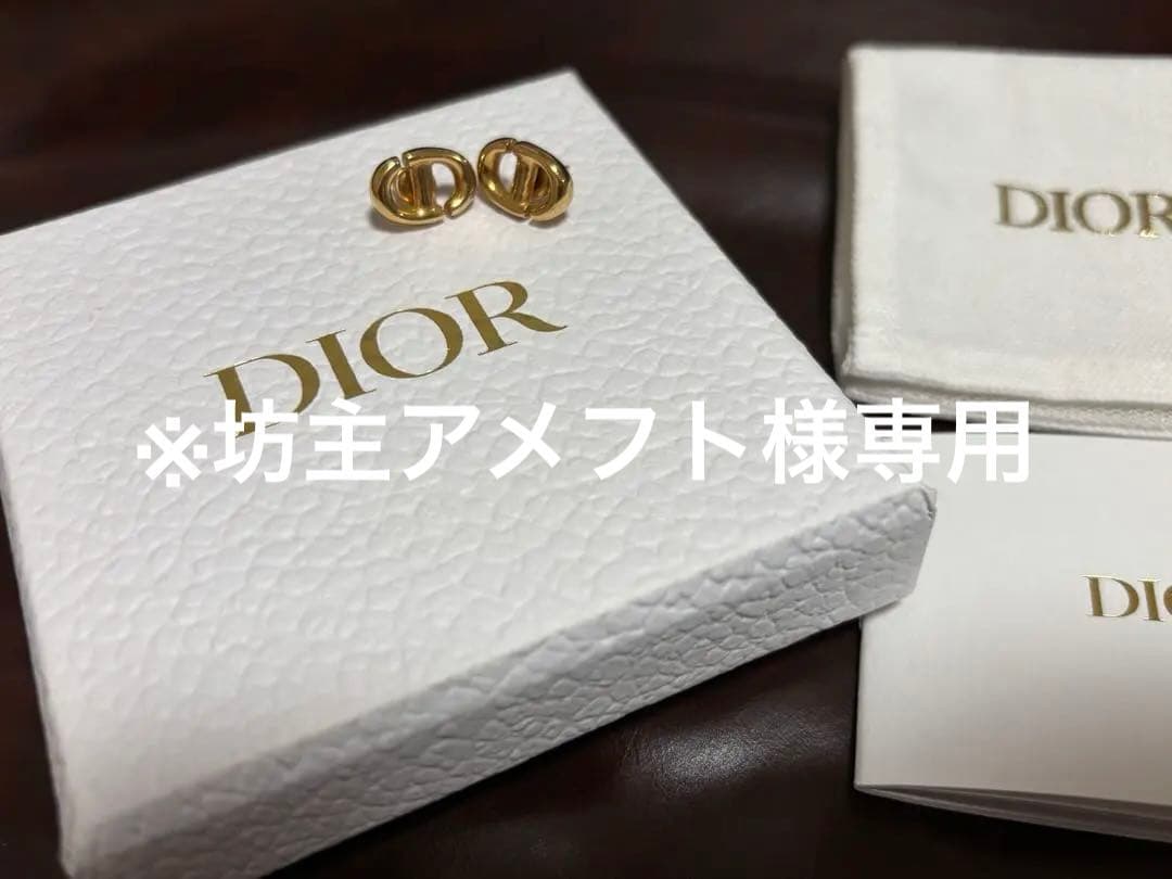Dior CD Navy ピアス