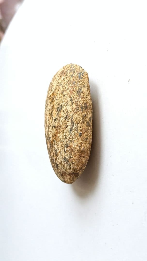 磨製石斧　完成出土品　堆積岩　磨き石