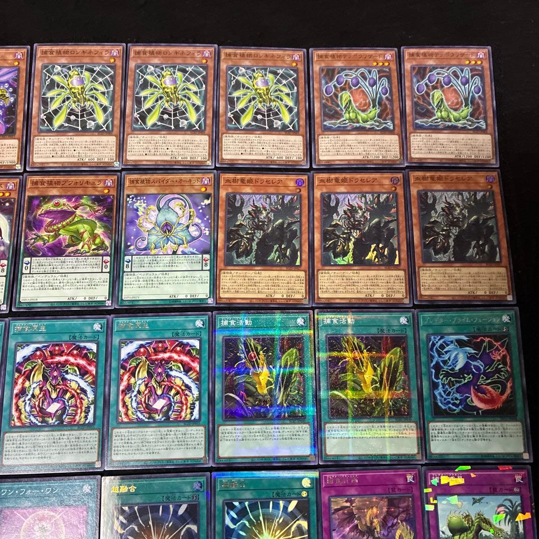 【即日発送】 遊戯王 «捕食植物(新規有)» 構築済みデッキ 85枚 日版