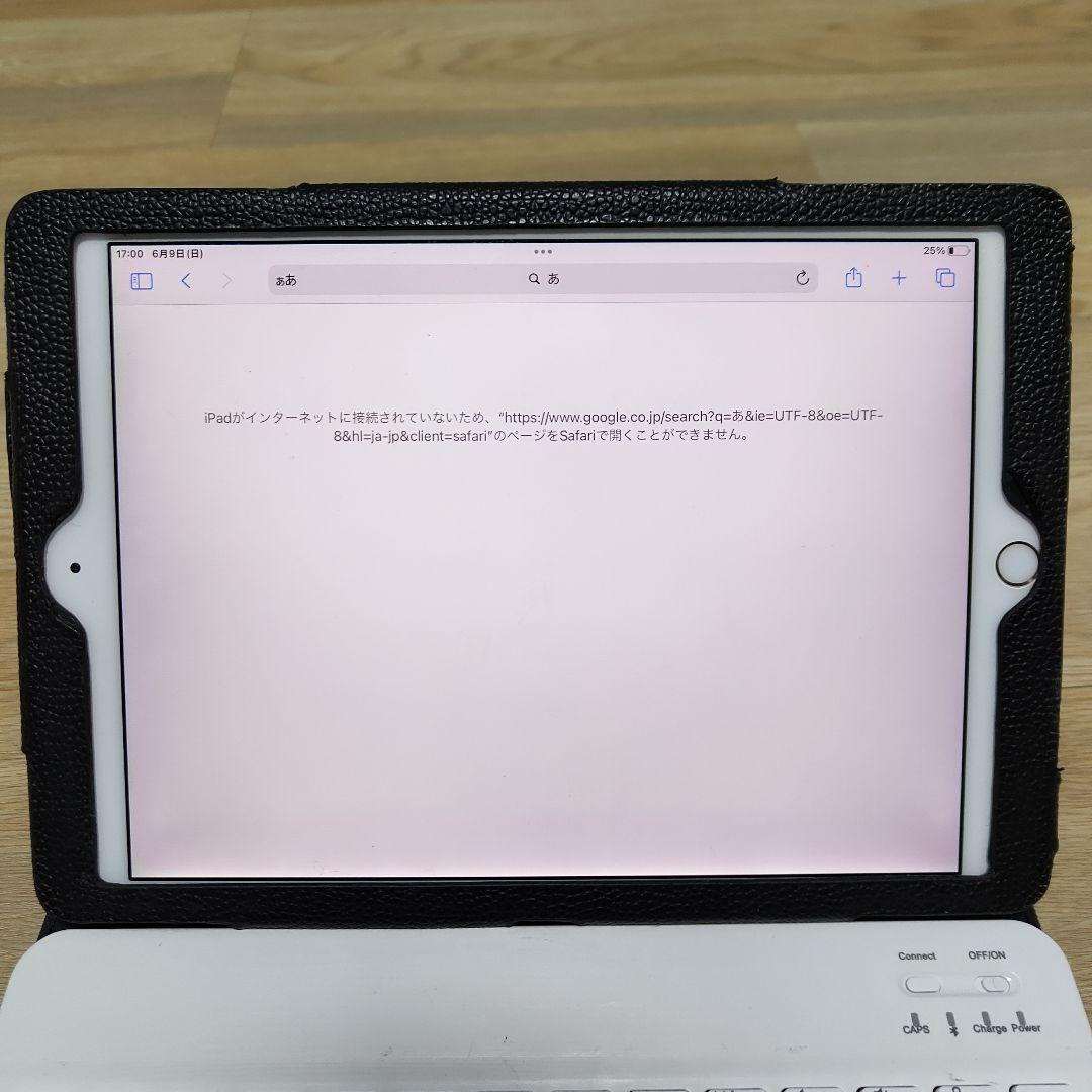 ☆Cellular ☆ Apple iPad Pro 9.7 128GB ローズ