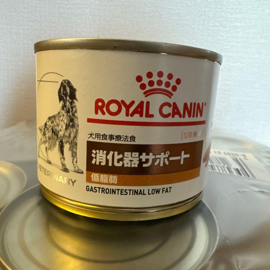  CANIN 消化器サポート 低脂肪 20缶セット