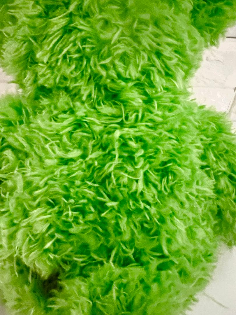 270体限定　2008 ビバリーホワイトさん サイン入り　ダッフィー　グリーン