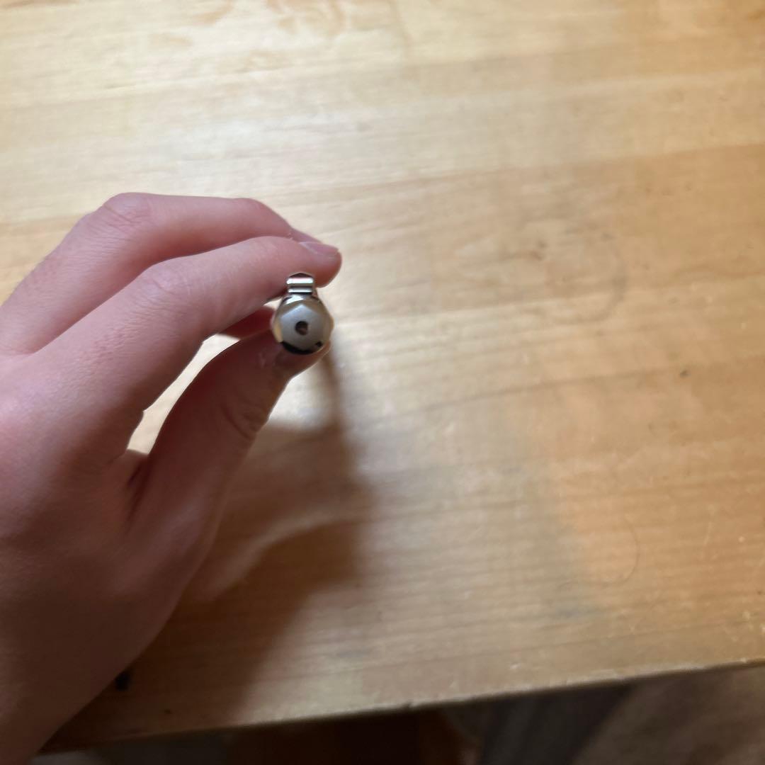 カランダッシュ万年筆