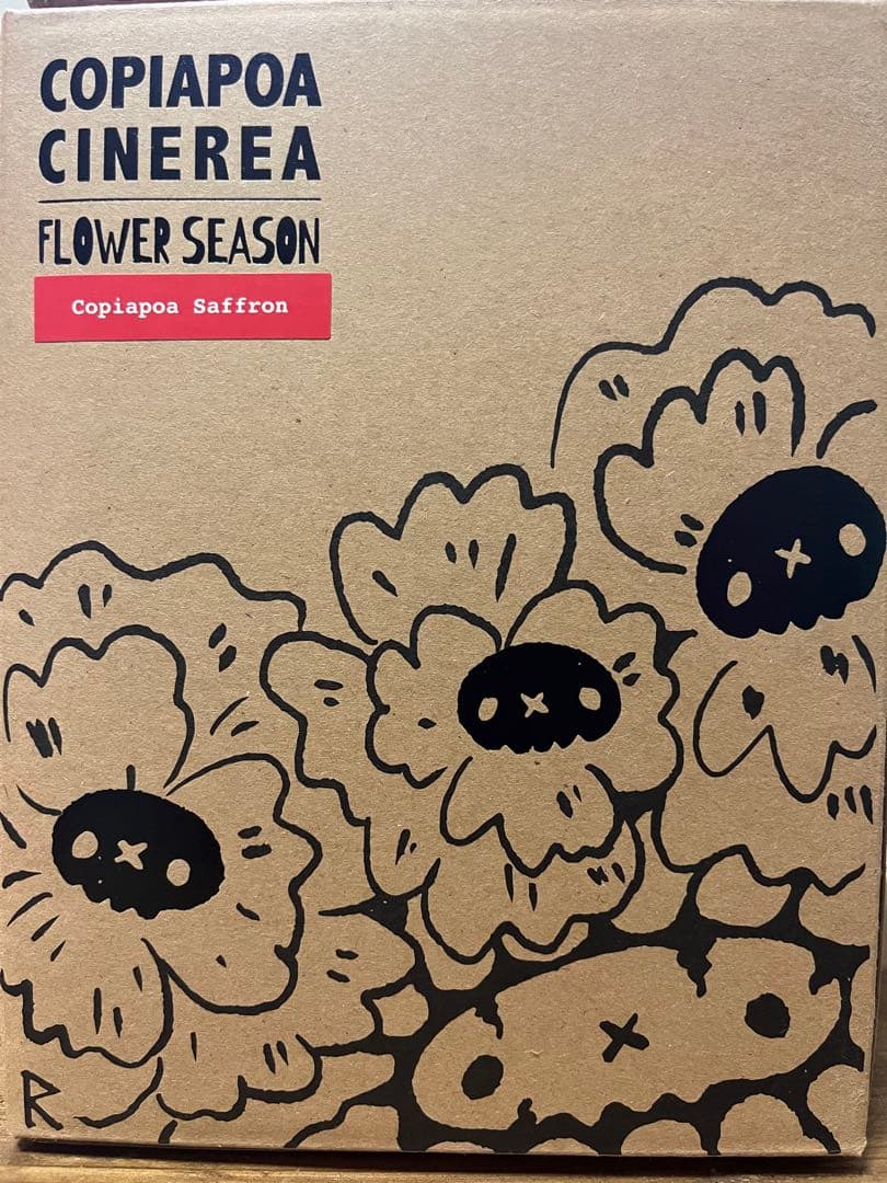 羅本製所 Copiapoa 黒王丸花季番紅花Robinceramicstudio