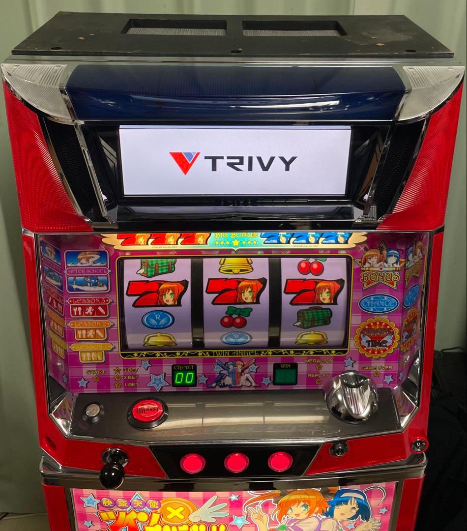 たのメル便　ツインエンジェル初代 実機 不要機 無段階ボリュームつき