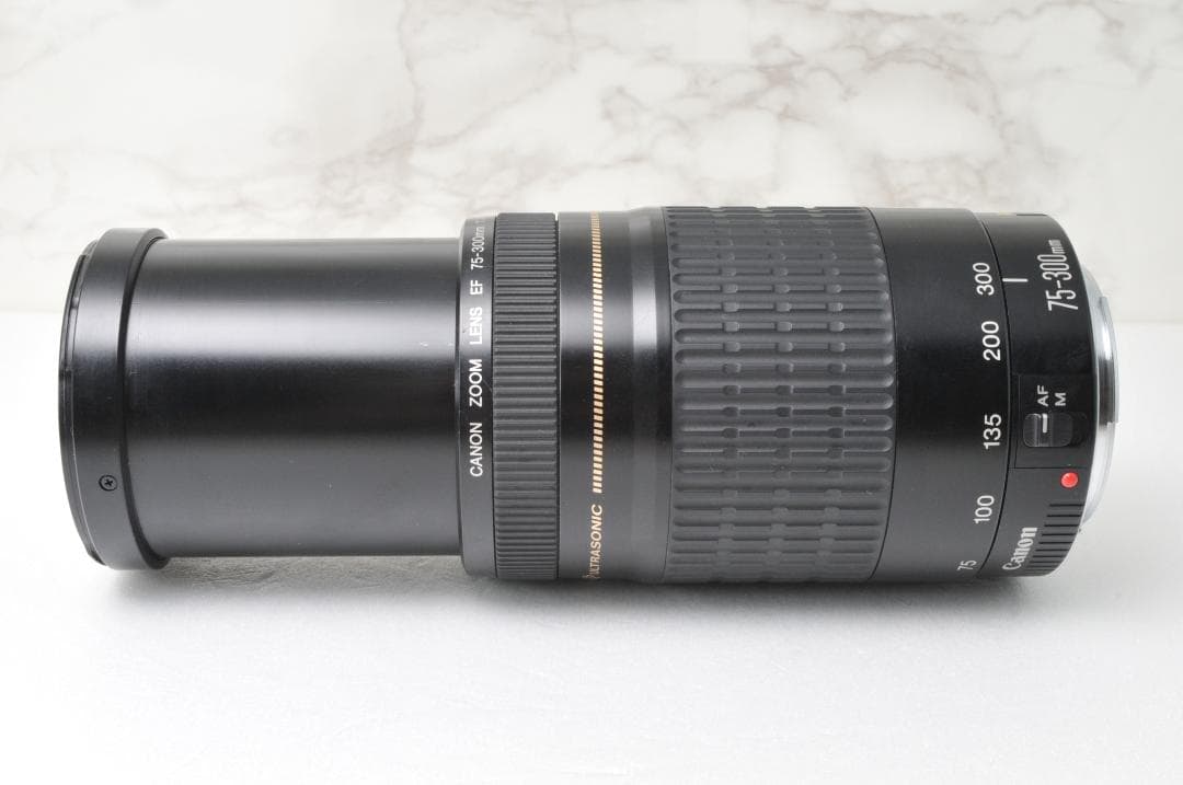 Canon EF 75-300mm F4-5.6 USM⭐️望遠レンズ キャノン