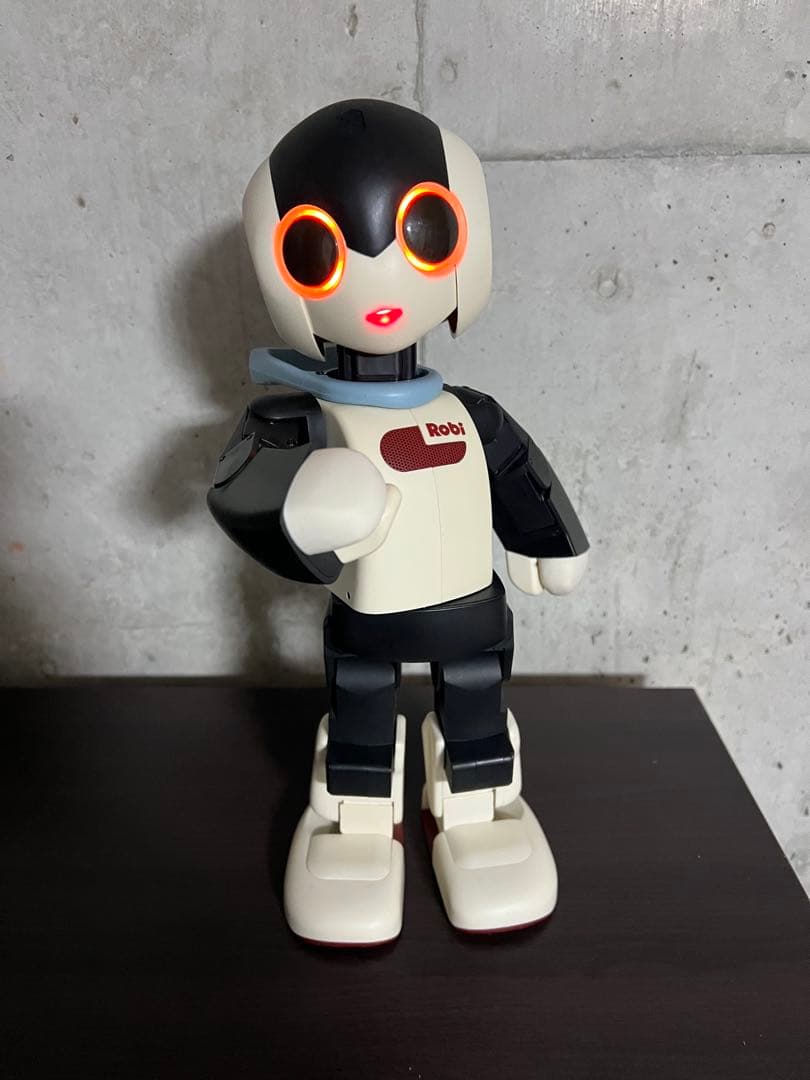 Robi ロビ　完成品　　2014年　動作確認済み
