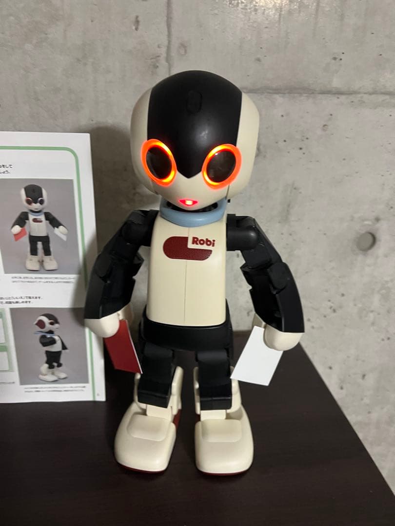 Robi ロビ　完成品　　2014年　動作確認済み