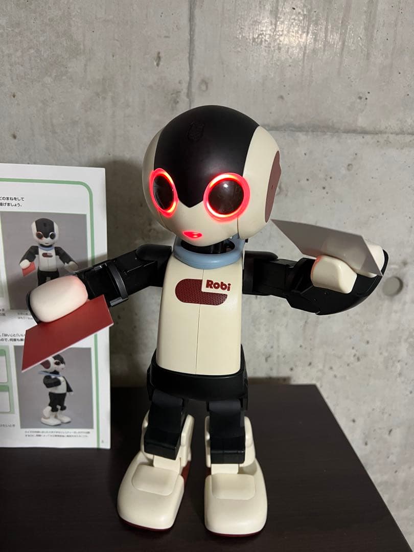 Robi ロビ　完成品　　2014年　動作確認済み