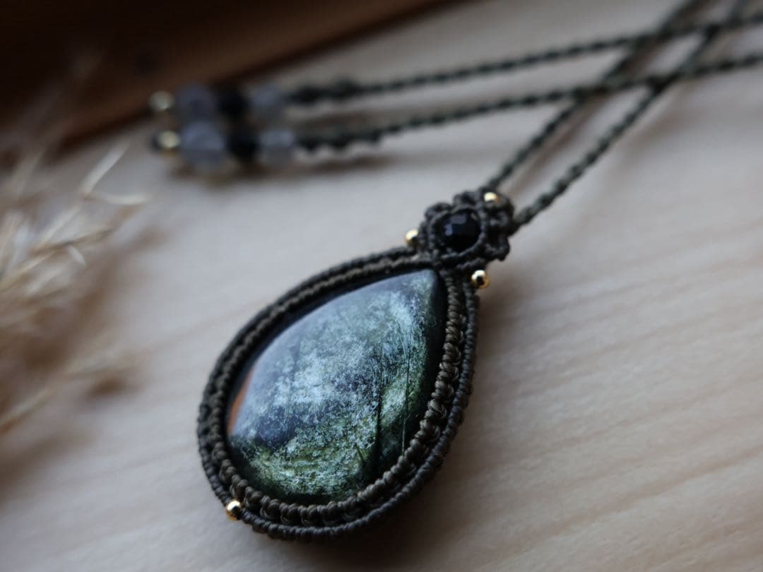 でんちゃん 11/8