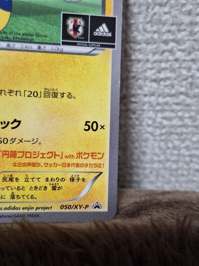 日本代表のピカチュウ：ポケモンNewモン! Book付録 PROMO XYシリ…