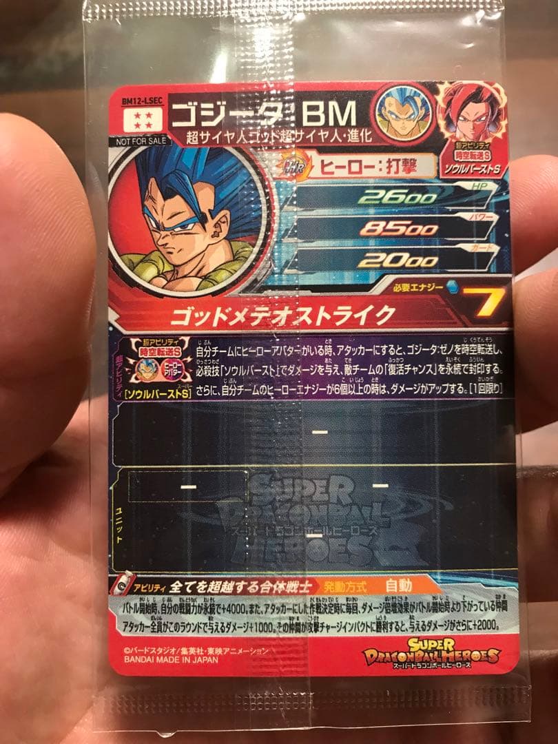 BM12-LSEC ゴジータBM