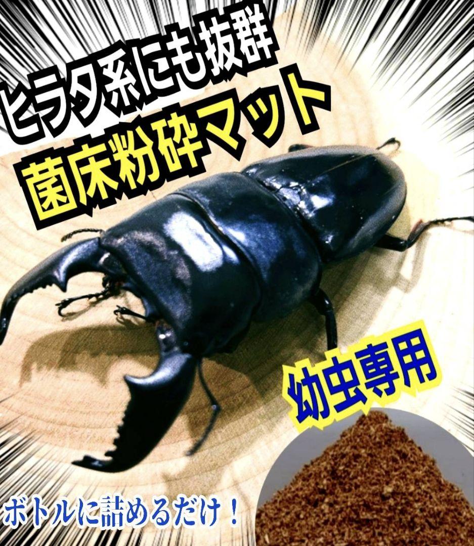 菌床粉砕クワガタマット【30L】ボトルやカップに詰めるだけ！菌糸瓶より経済的！