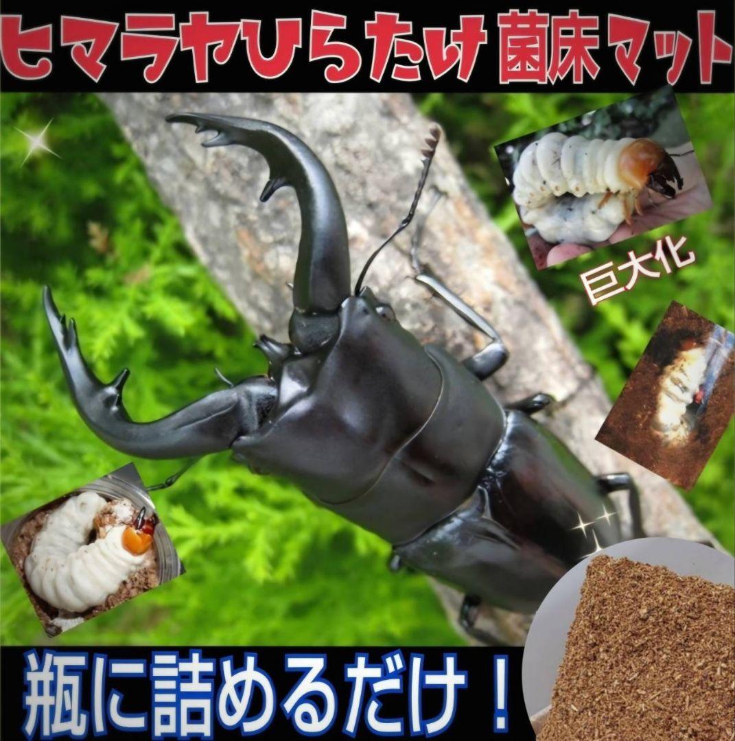 菌床粉砕クワガタマット【30L】ボトルやカップに詰めるだけ！菌糸瓶より経済的！