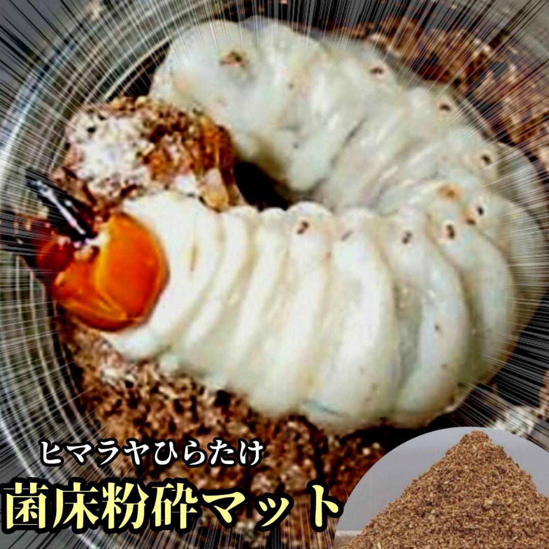 菌床粉砕クワガタマット【30L】ボトルやカップに詰めるだけ！菌糸瓶より経済的！