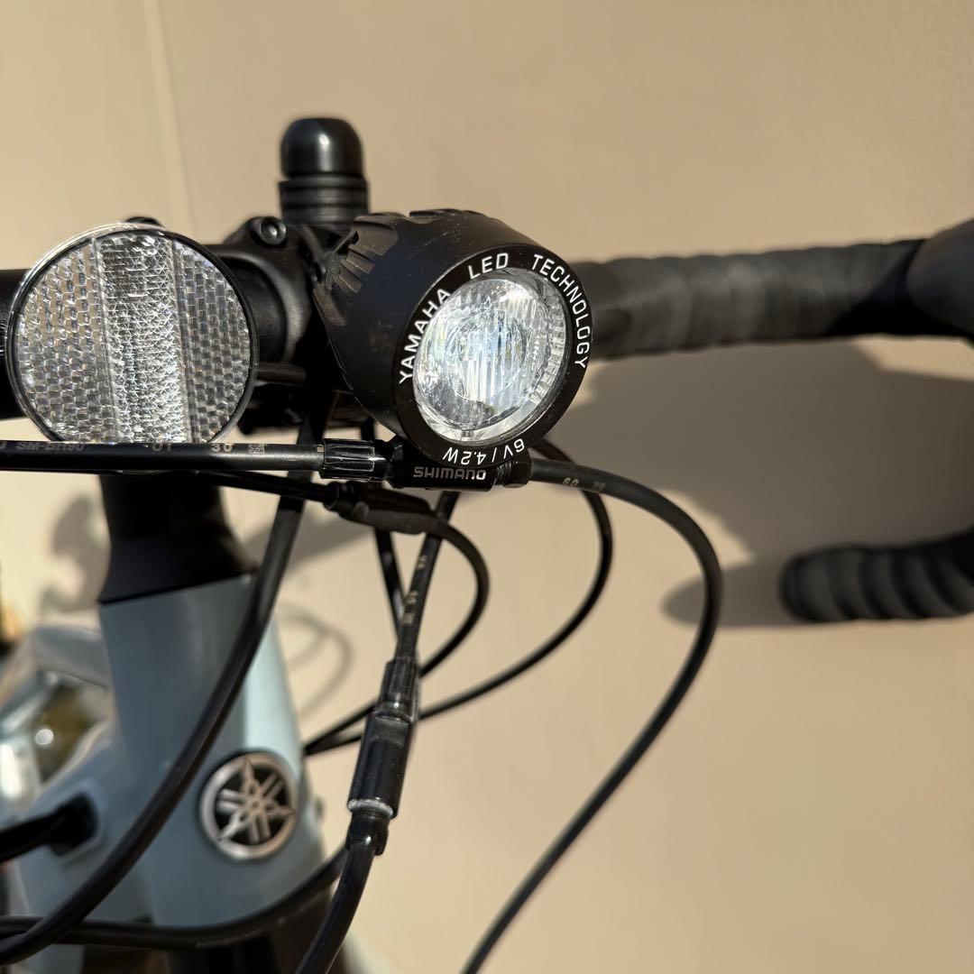 2025年購入 ヤマハ Wabash RT PC70WR