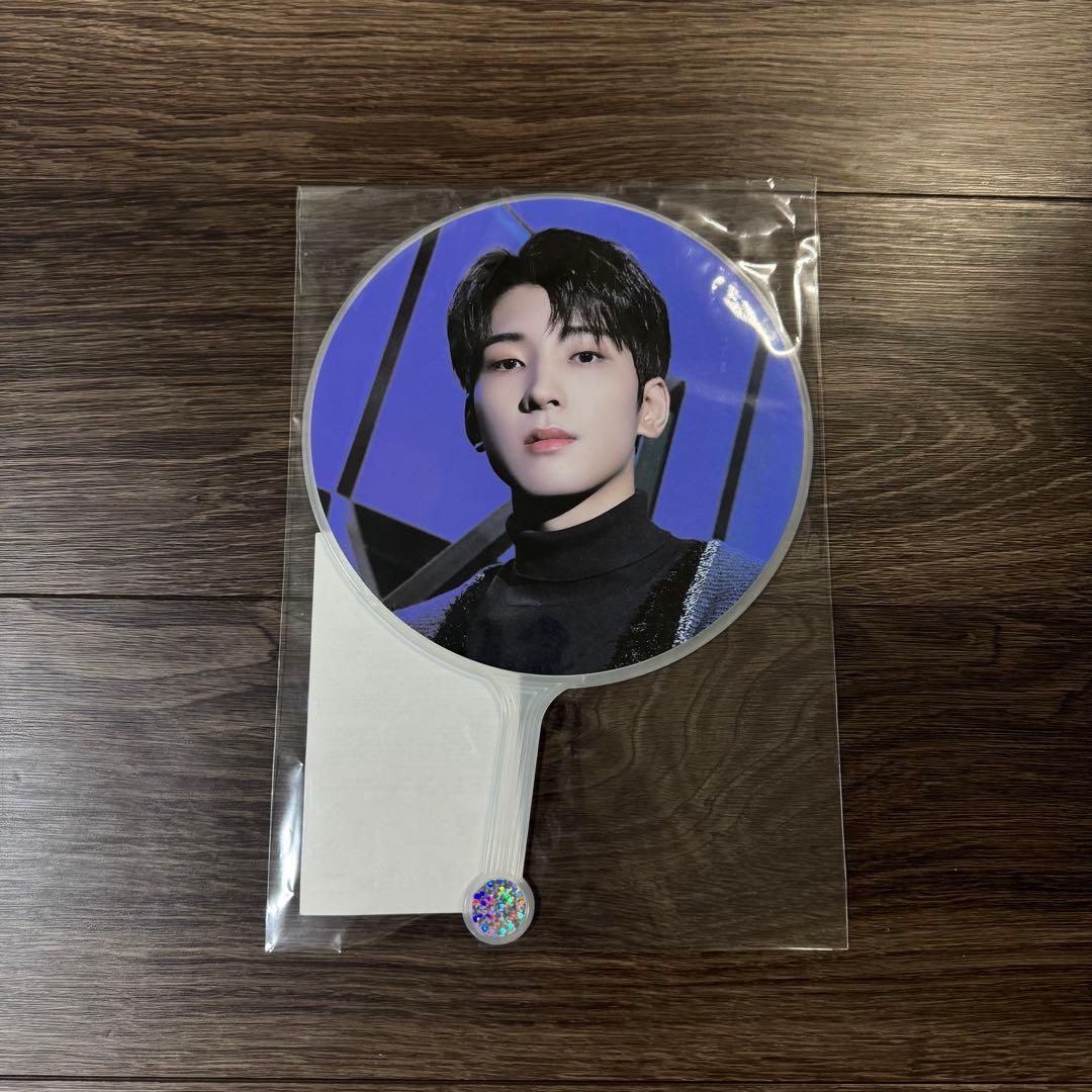 SEVENTEEN ウォヌ うちわ まとめ売り