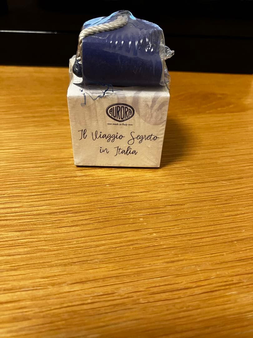 限定品 AURORA 万年筆