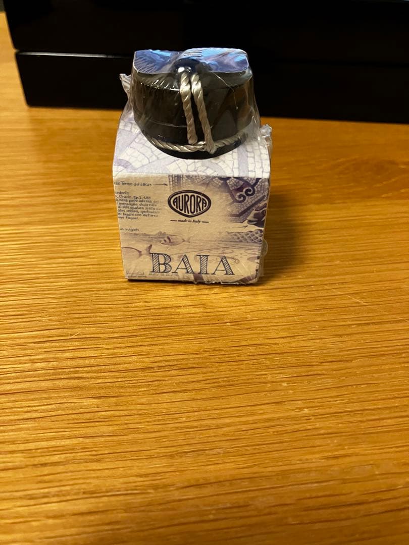 限定品 AURORA 万年筆