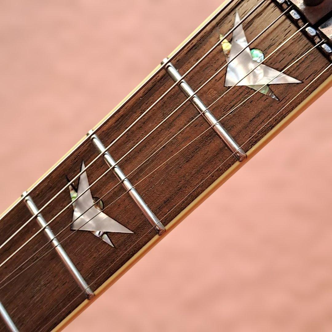 ■SCHECTER AD-OM-FR-EXT Floyd Rose シェクター