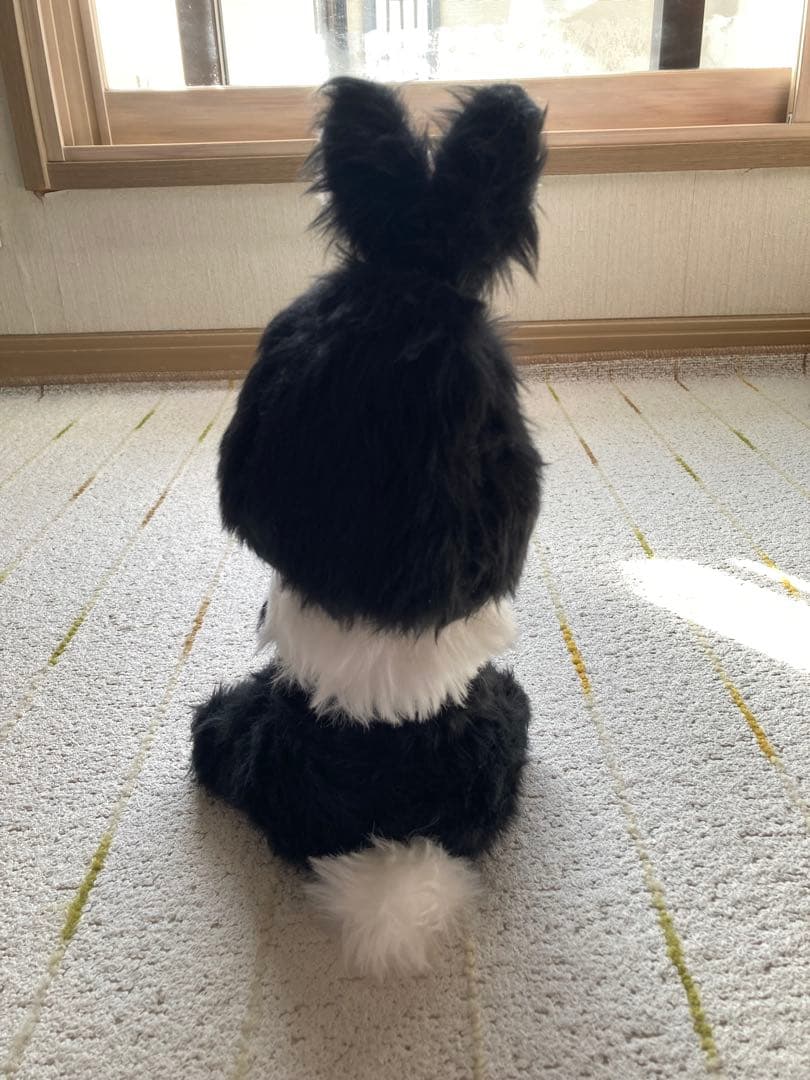 FREAKS CIRCUS 人形(フリークスサーカス)