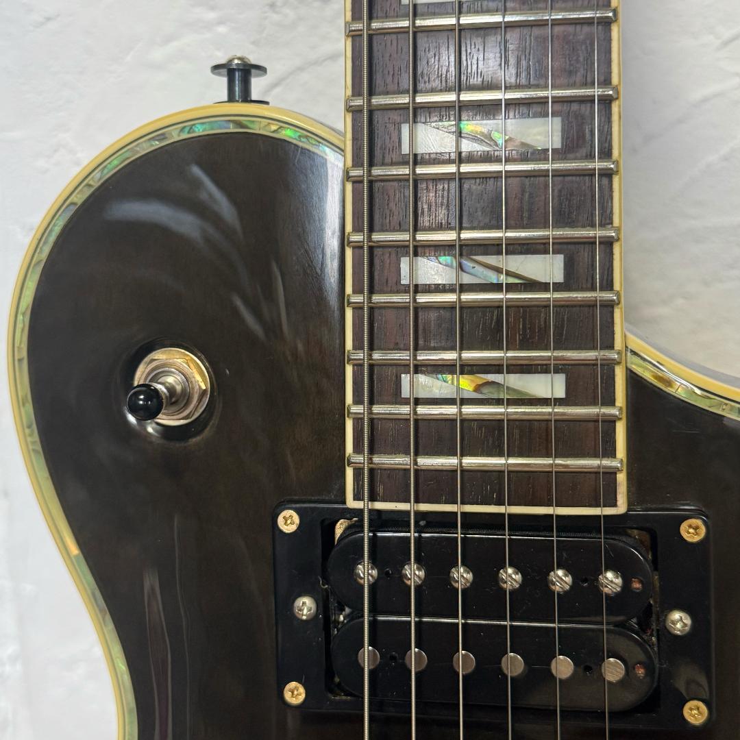 Aria Pro II PE-e 美品 新品弦 張替済