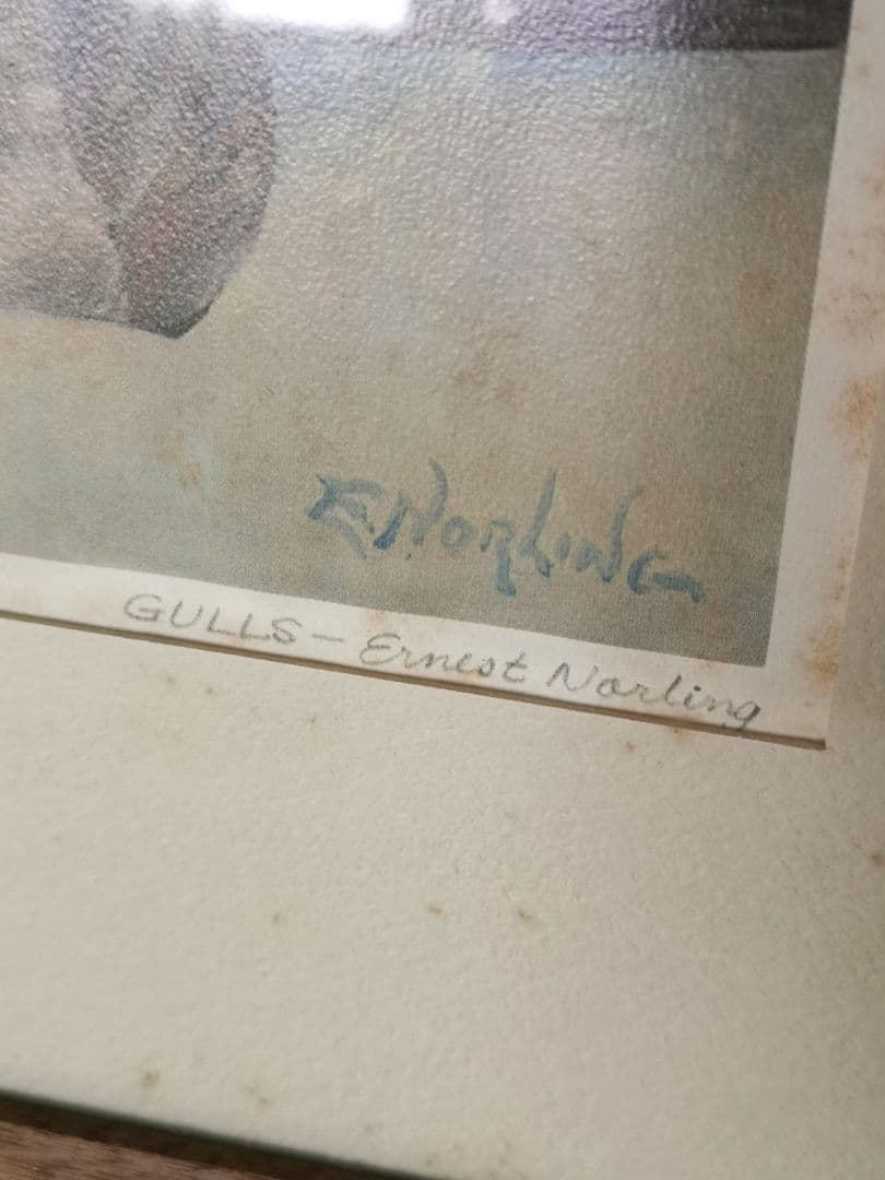 【リトグラフ】アーネスト・R・ノーリング　流木のある太平洋岸北西部の海岸のカモメ