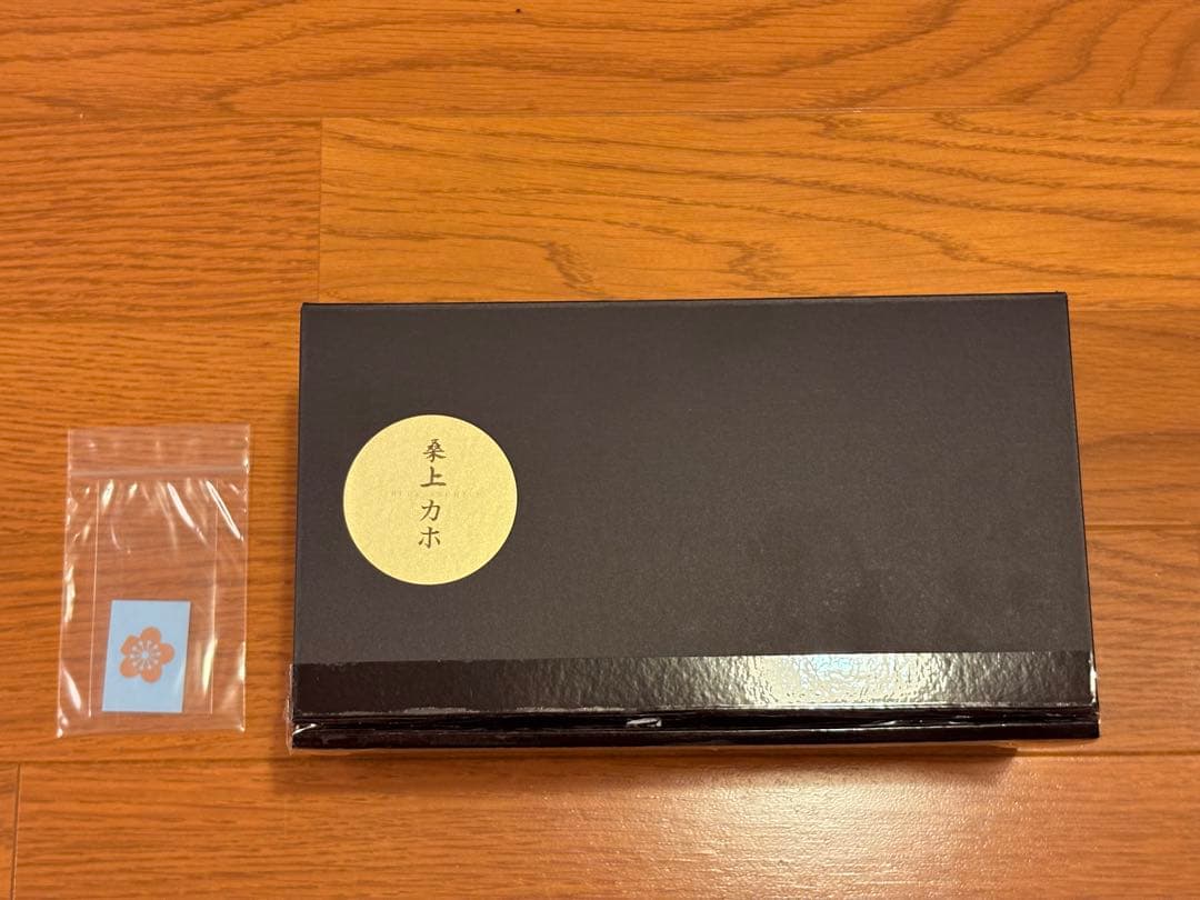 ヤドカリ 桑上カホ　ガレージキット