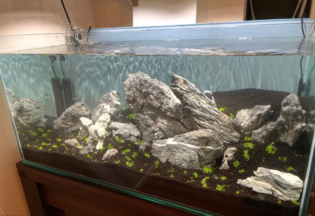 ADA 青龍石　龍王石　青華石　清流石　セット