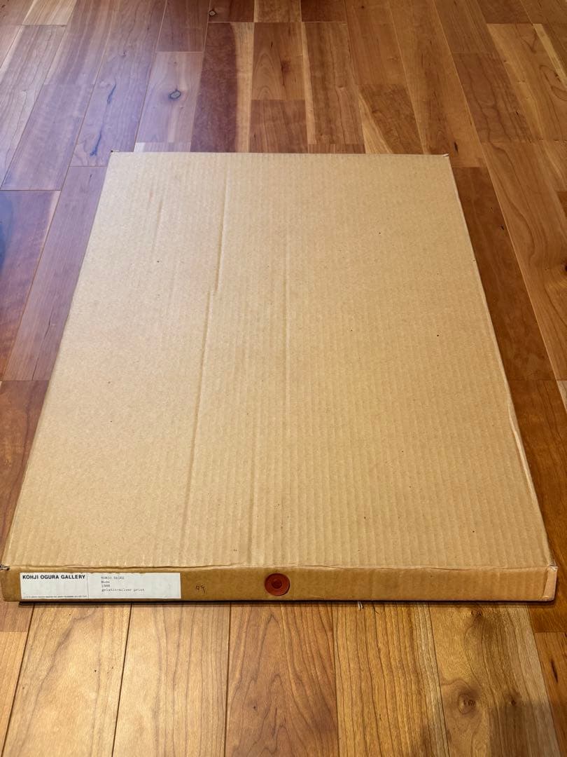 芸術写真 SEIKE TOMIO nude 1988