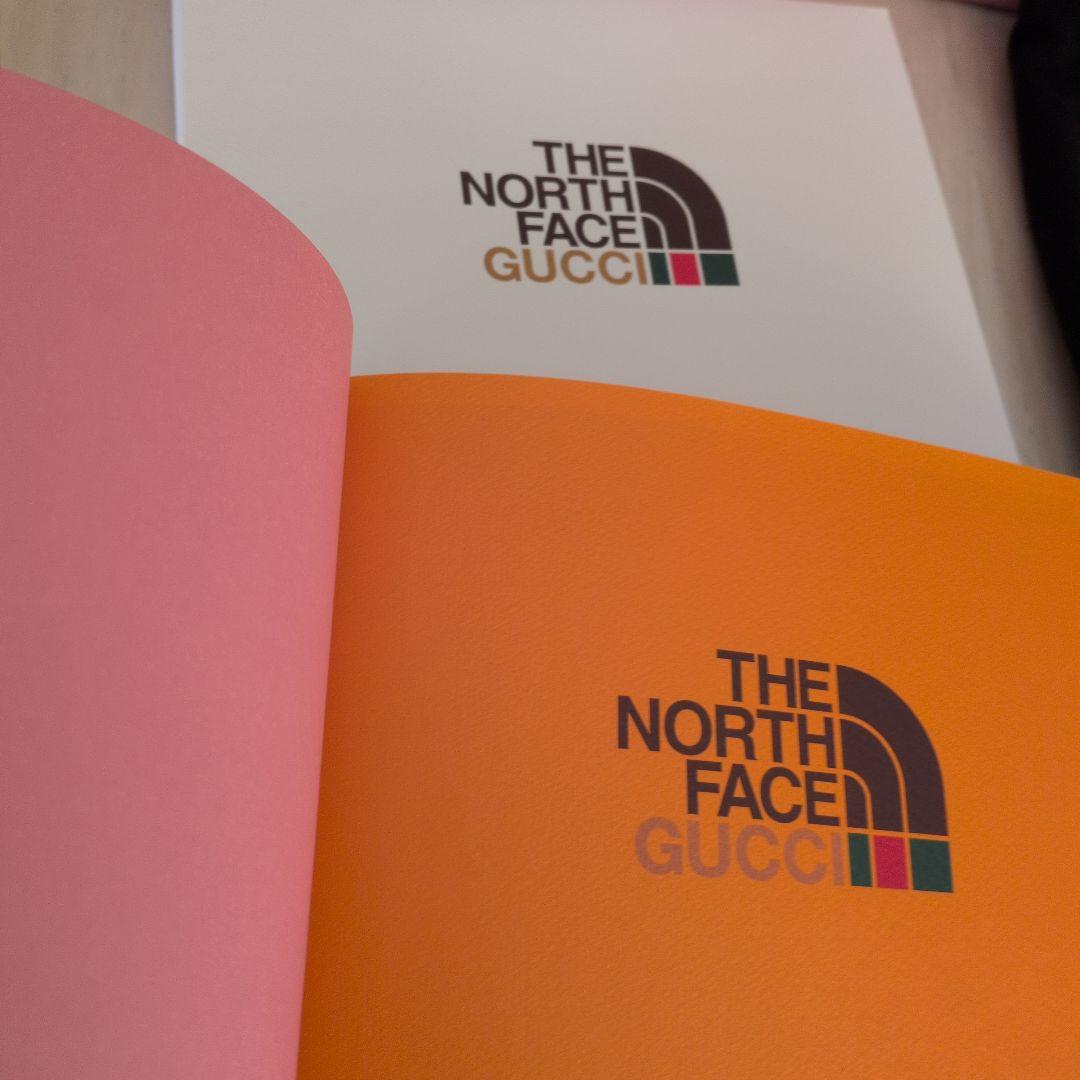 THE NORTH FACE GUCCI ブラック Tシャツ