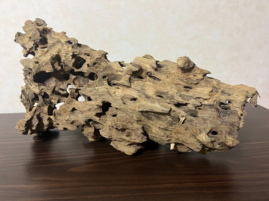 XM-453 流木　マシンガンウッド　アクアリウム　ブランチウッド　沈水確認済