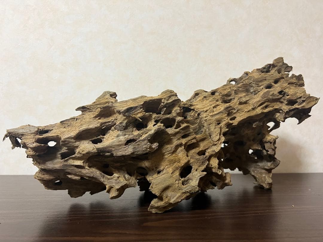 XM-453 流木　マシンガンウッド　アクアリウム　ブランチウッド　沈水確認済