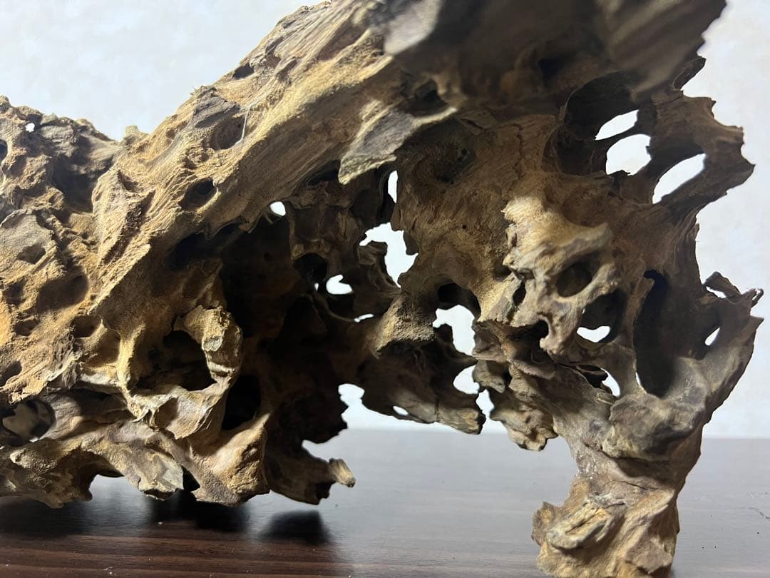 XM-453 流木　マシンガンウッド　アクアリウム　ブランチウッド　沈水確認済