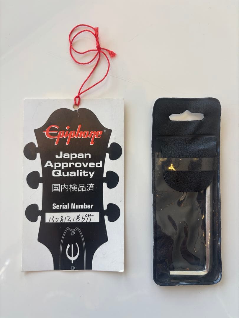 Epiphone Les Paul Special II ？ レスポール