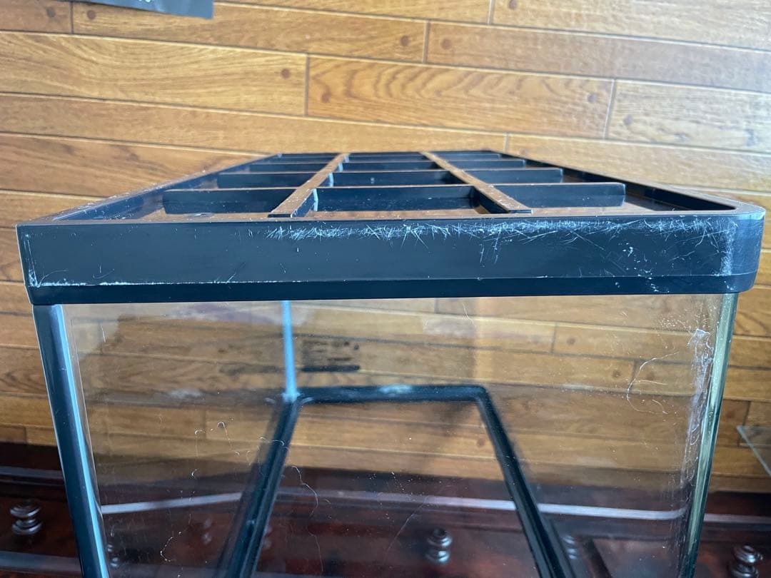 GEX 60cm曲げガラス水槽セット