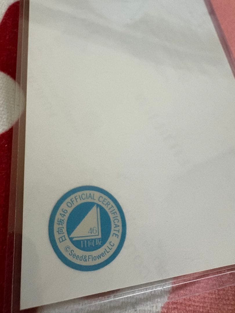 小坂菜緒 日向坂46 Happy majical サンタ 生写真 直筆 サイン