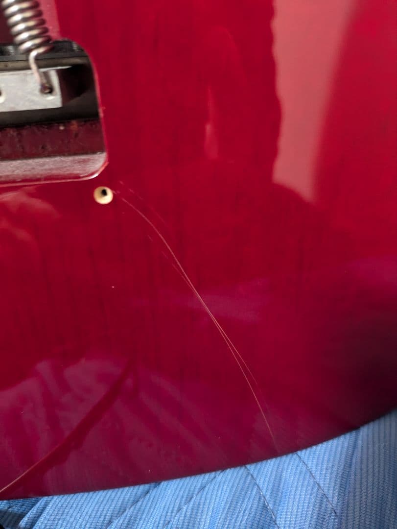 edwards snapper　E-SN-145FR