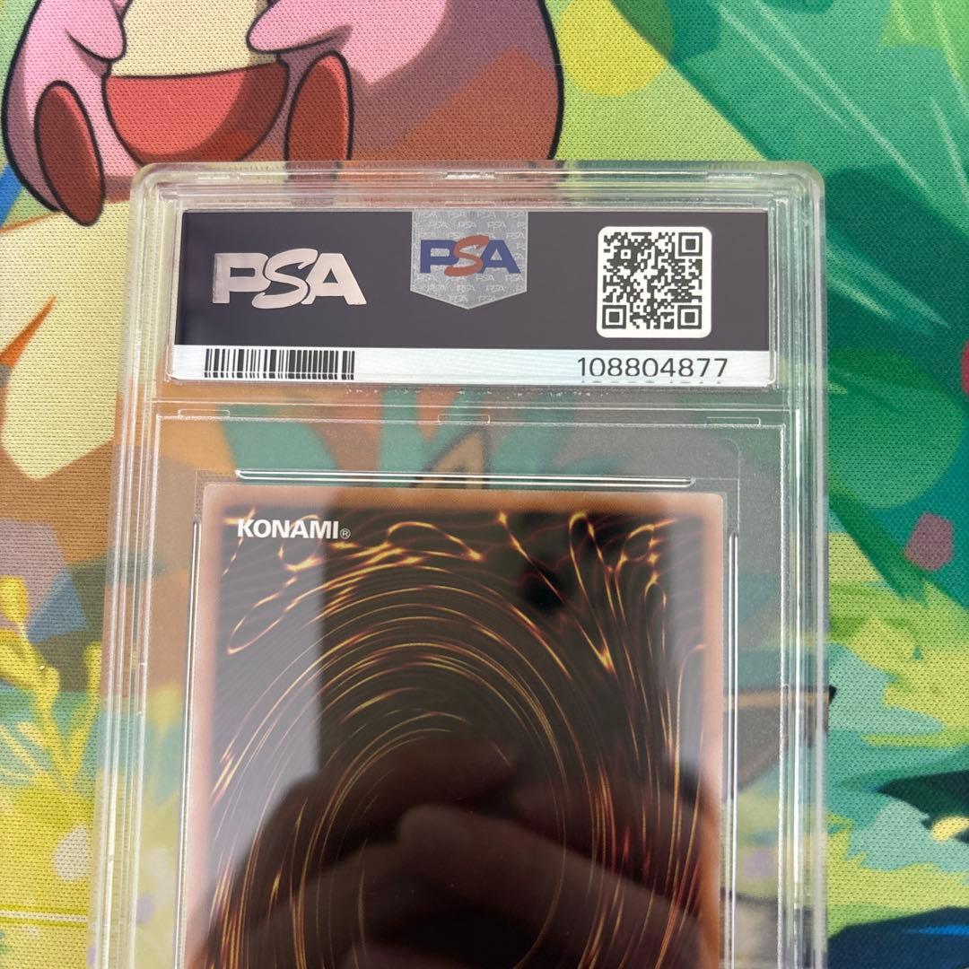 ドラゴンメイド・ラティス psa10 クオシク 25th