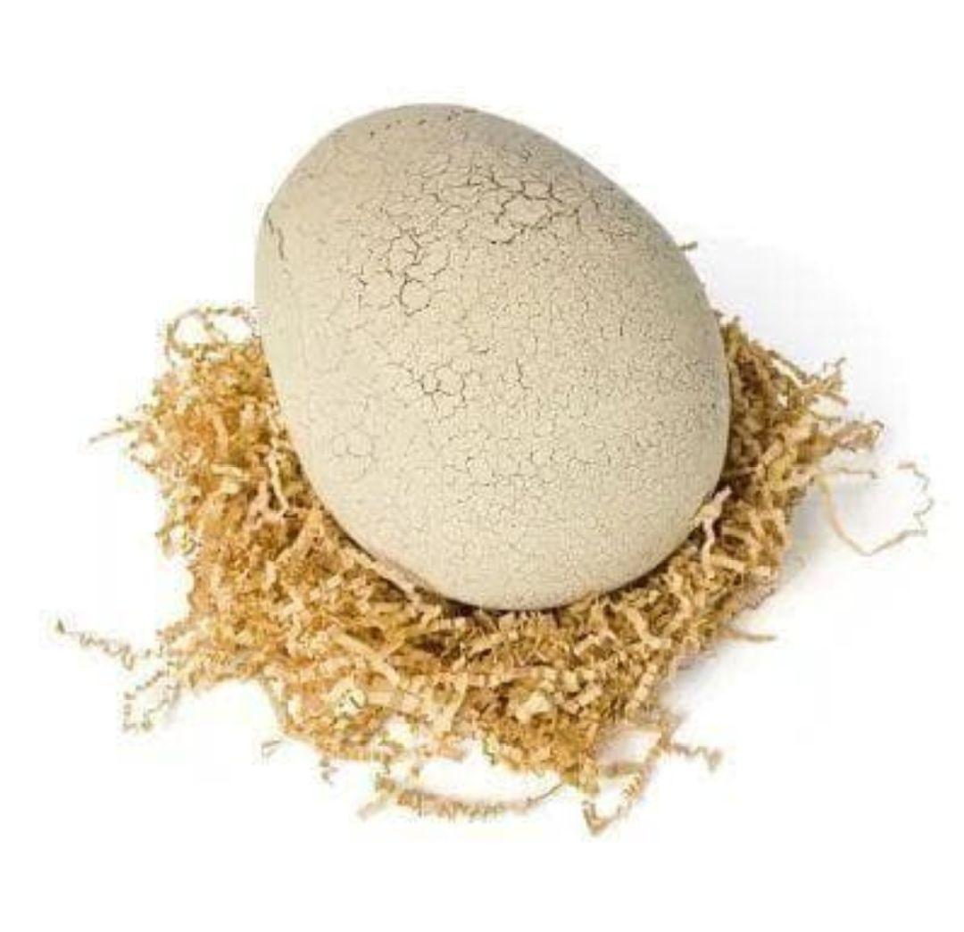 ◎新品 タカラトミー うまれて！ウーモ ジュラシックワールド T-レックスエッグ