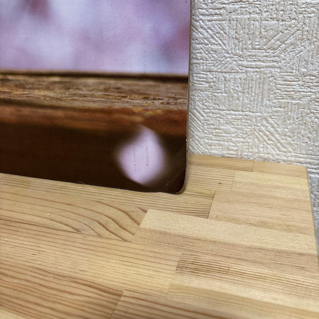 【奈緒】サントリー 伊右衛門 販促ボード 非売品②