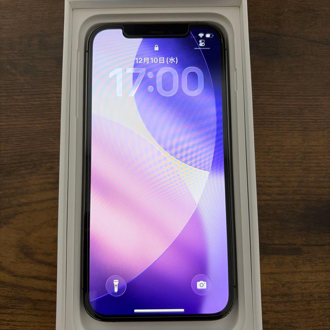 iPhone12Pro 256GB 純正イヤホン付き