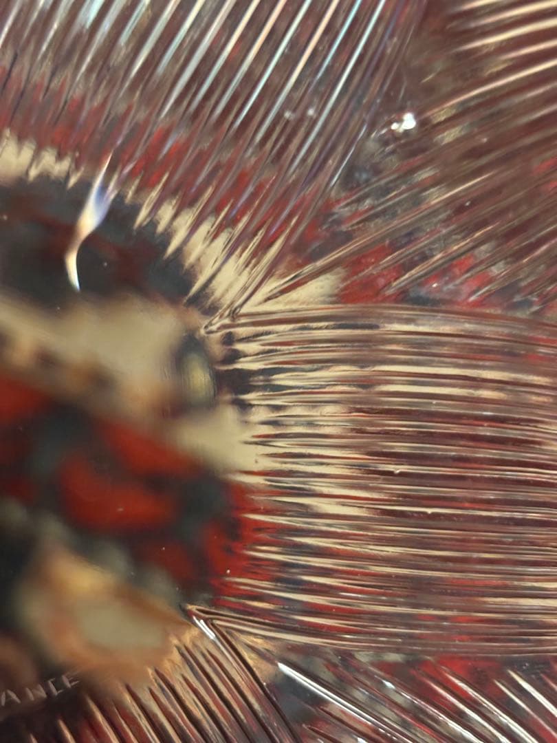 ルネ・ラリック　ロータス LOTUS 皿 , Rene-Lalique 1923