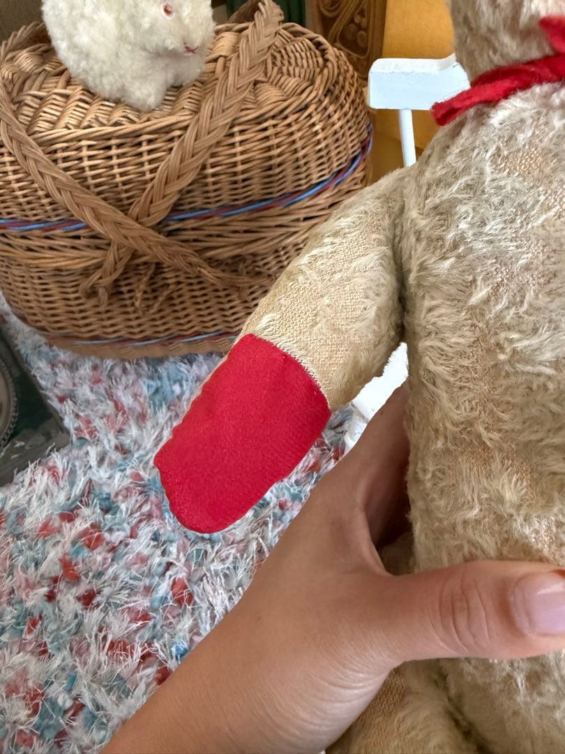 JPM ベア　フランス