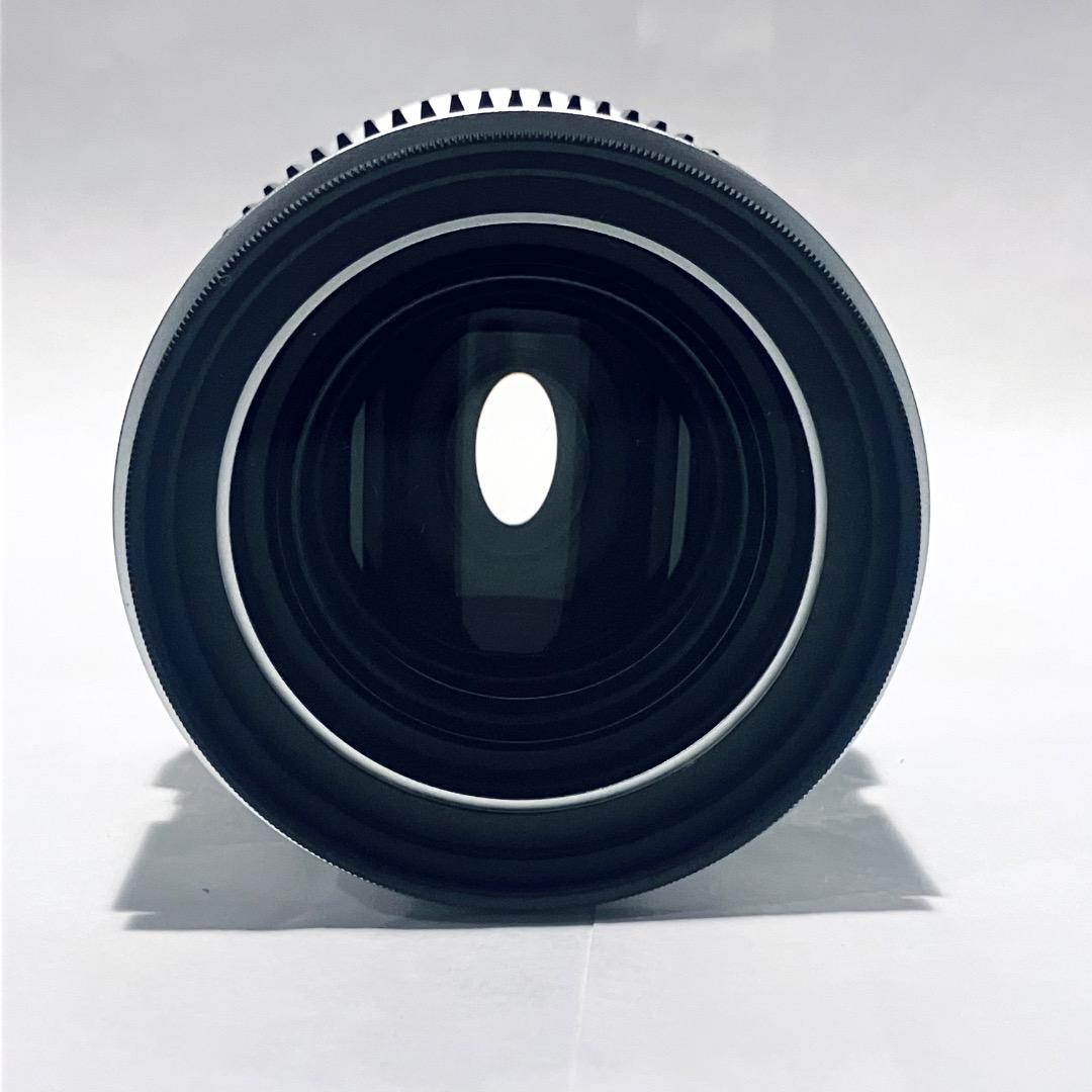 Beetle 1.33X 45mm T3.2 変形アナモルフィックレンズ (L)