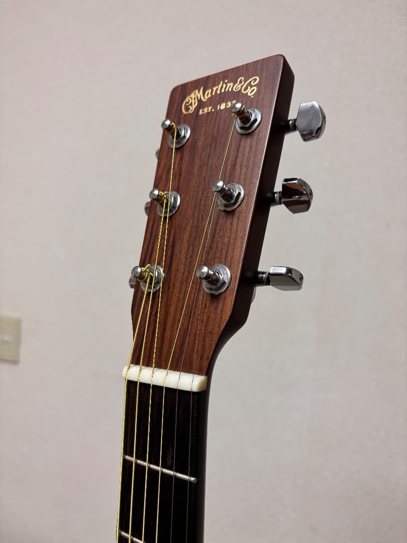 ギター Martin D-1