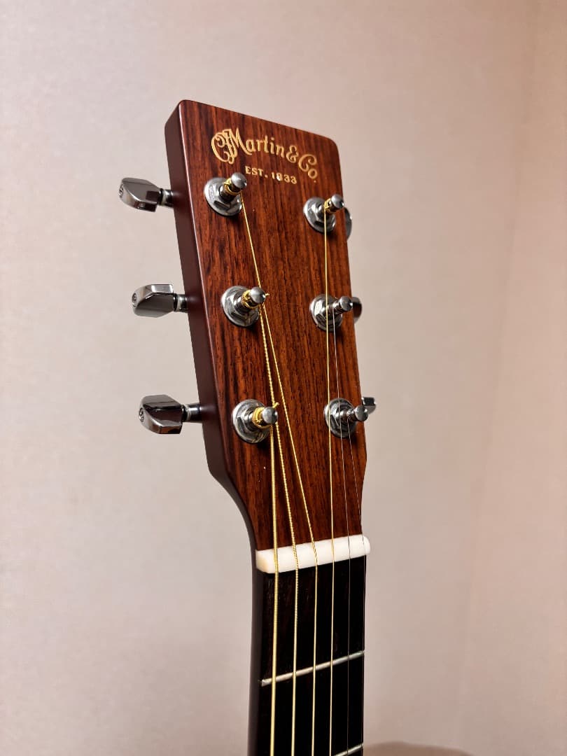 ギター Martin D-1