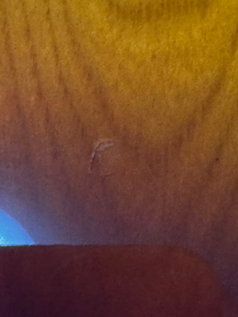 FenderJapan　TL72-500 2002年　中古　ケース変更値下げ