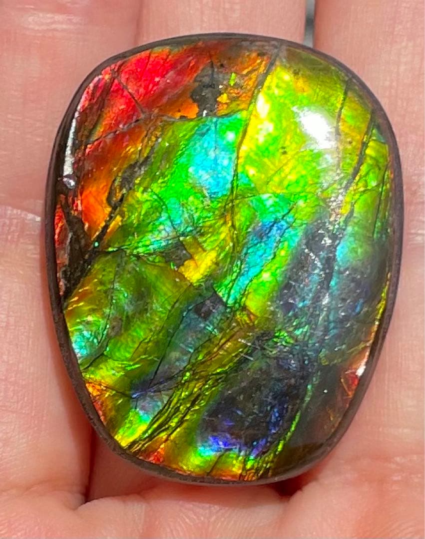 【期間限定セール】アンモライト レインボーカラー ルースストーン